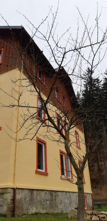 Apartamento Haus Stefanie Elvire Altenberg  Exterior foto