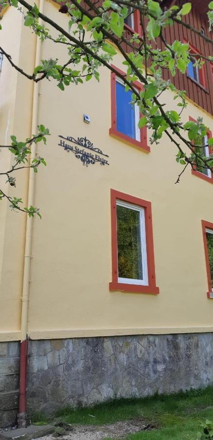 Apartamento Haus Stefanie Elvire Altenberg  Exterior foto