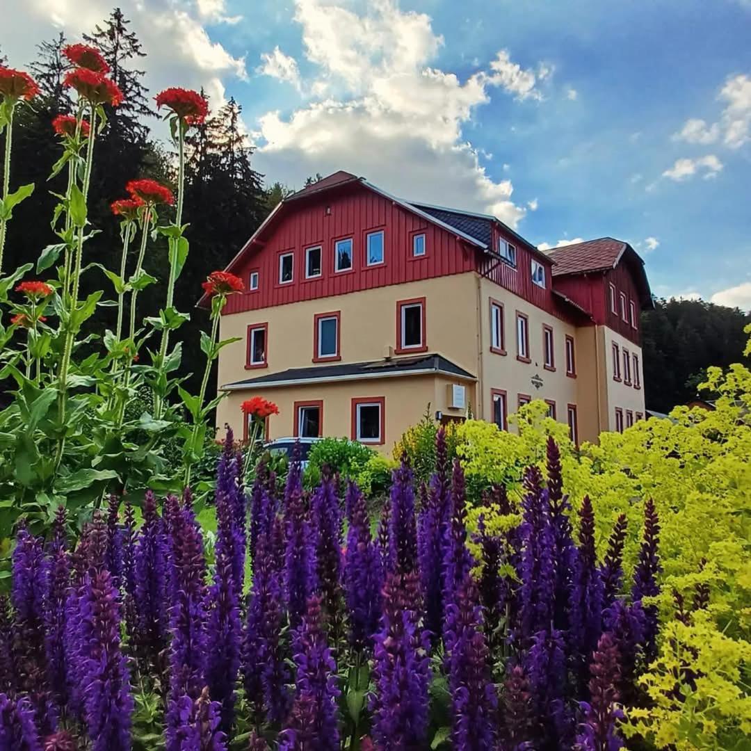 Apartamento Haus Stefanie Elvire Altenberg  Exterior foto